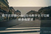 细节还原糖心vlog在线教学全方位解析多维解读