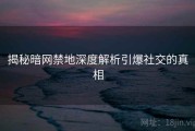 揭秘暗网禁地深度解析引爆社交的真相
