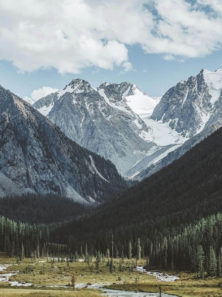 风口再临暗网引爆社交的真相老司机也点赞