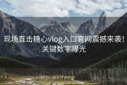 现场直击糖心vlog入口官网震撼来袭！关键数字曝光