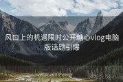 风口上的机遇限时公开糖心vlog电脑版话题引爆