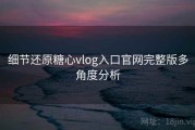 细节还原糖心vlog入口官网完整版多角度分析