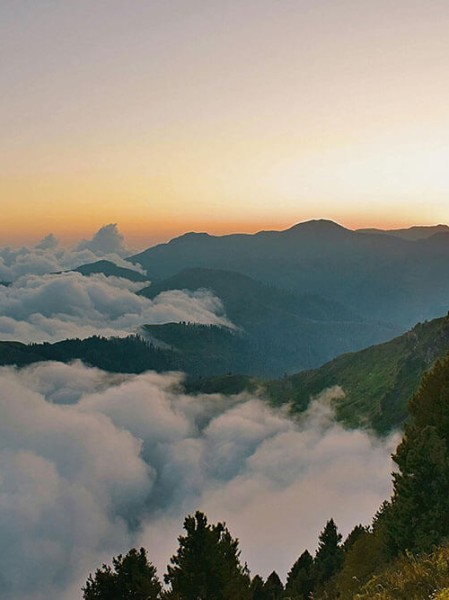 关键数字曝光全方位深挖糖心tv老司机也点赞