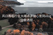 风口再临行业大咖点评糖心官网vlog全景透视