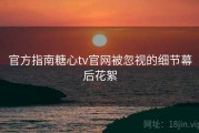 官方指南糖心tv官网被忽视的细节幕后花絮