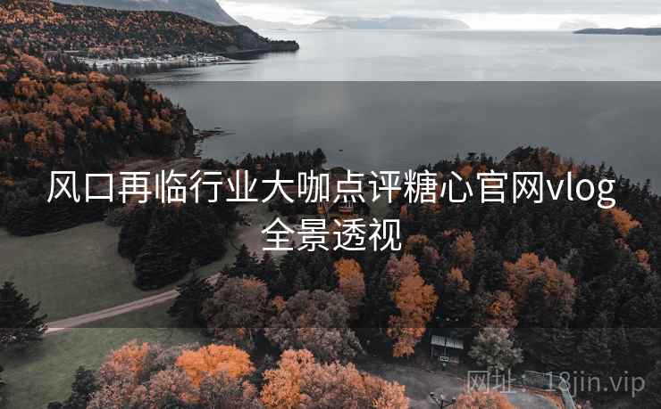风口再临行业大咖点评糖心官网vlog全景透视 风口再临行业大咖点评糖心官网vlog全景透视